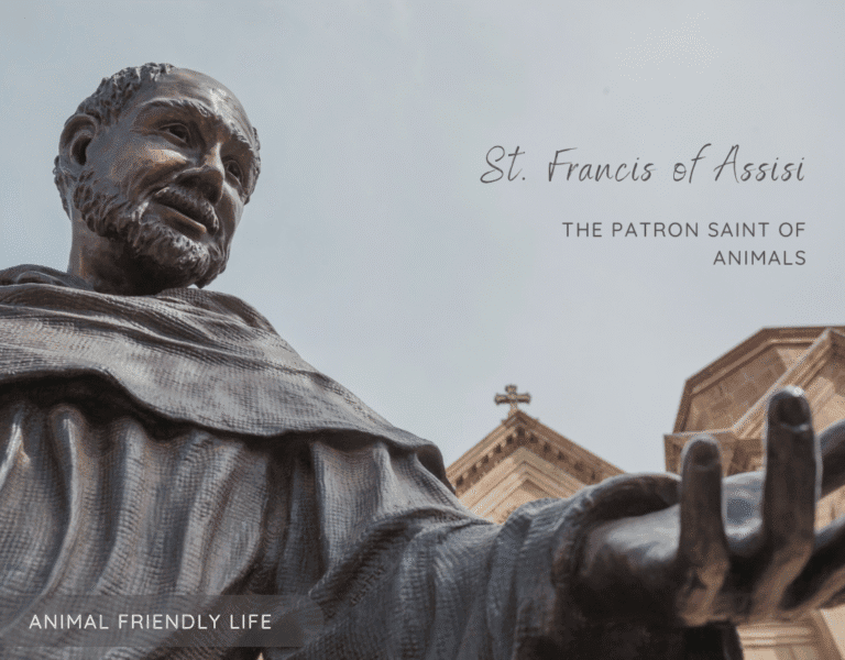 St. Francis of Assisi: Patron saint of animals; a legacy of compassion
