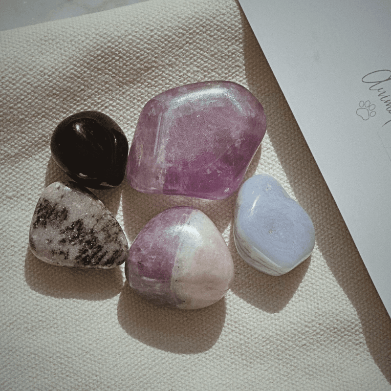 Flat lay image showing 5 crystals for Animal Friendly Life shop healing products natural therapies for pets