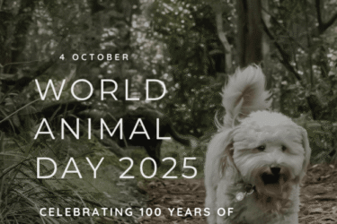 world animal day 2025 Blog Graphic